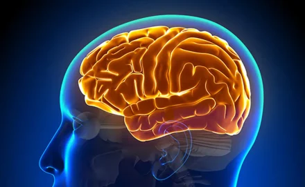 <?php bloginfo("name"); ?> - Entenda a hidrocefalia normobárica, causa da cirurgia de Chico Buarque